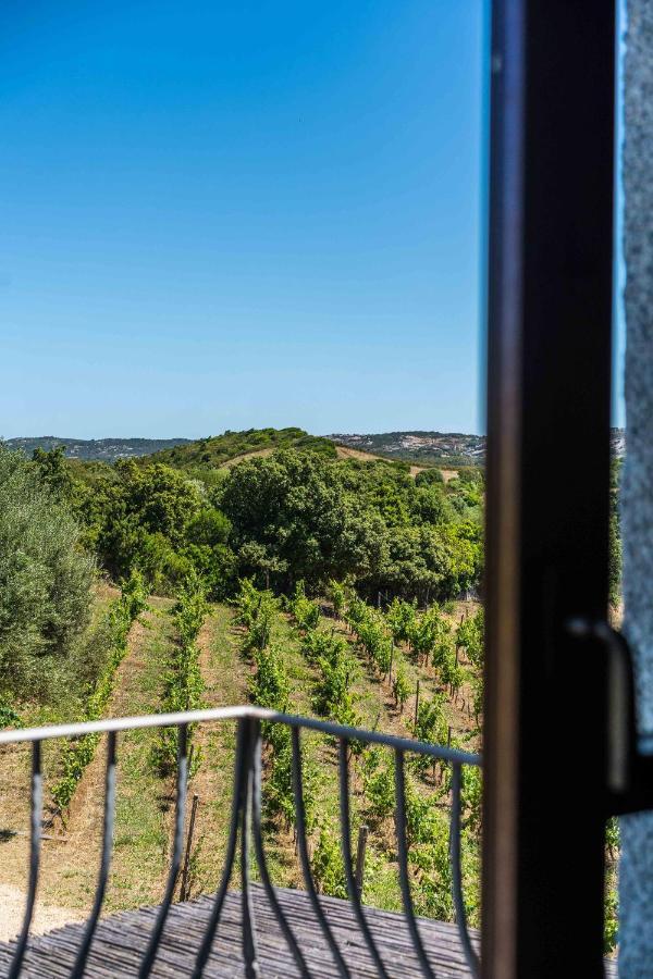 Locanda In Vigna Arzachena Eksteriør bilde